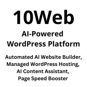 10web review